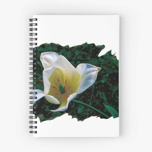 Aperçu de l'œuvre fleur de jardin créée et vendue par Taroon.