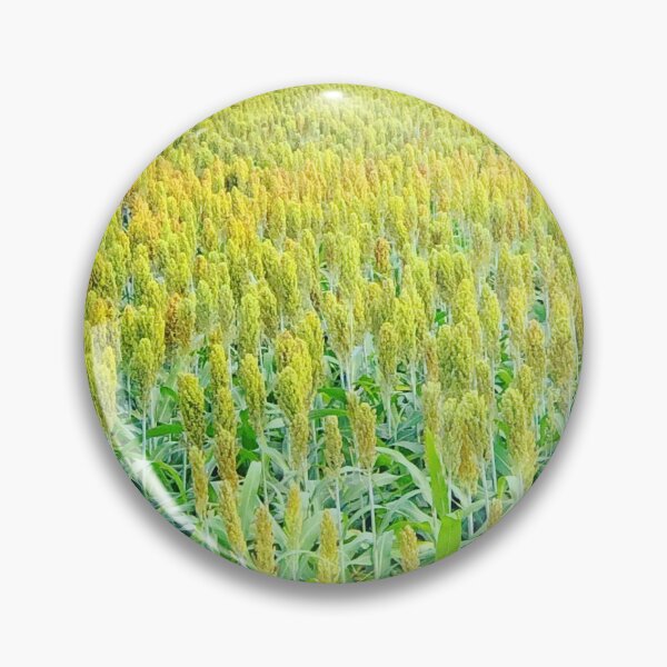 Item preview, Cornfield designed and sold by SaraAnnDesigns.