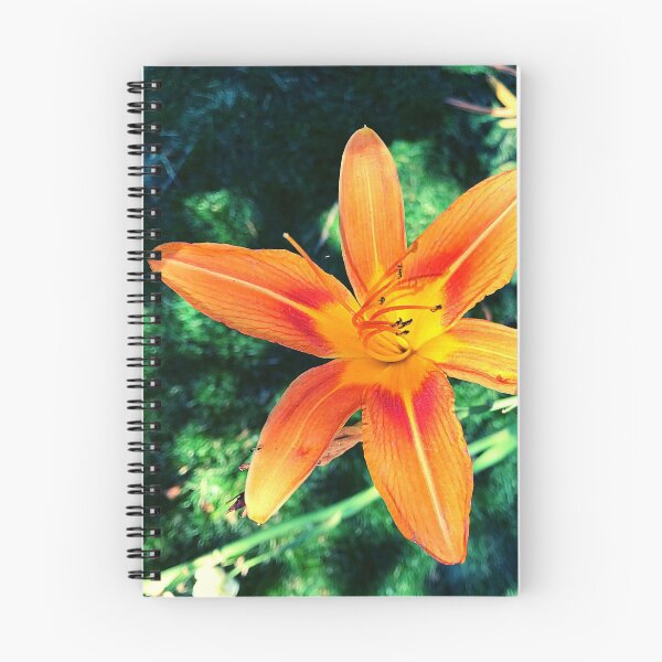Item preview, Orange Daylily designed and sold by Fiona-Lynn Designs.