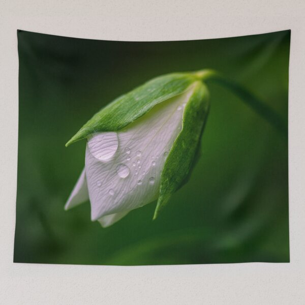 Item preview, Flower Macro designed and sold by WebbPhotos78.