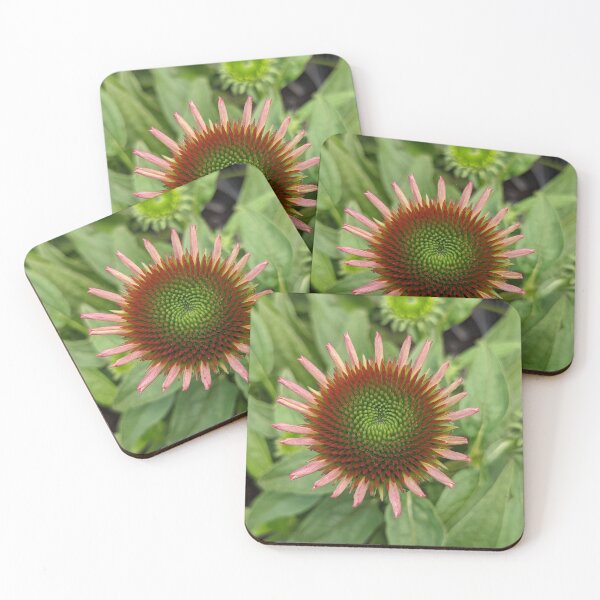 Item preview, Flower Opening Petals Photographic Image designed and sold by AustaArt.