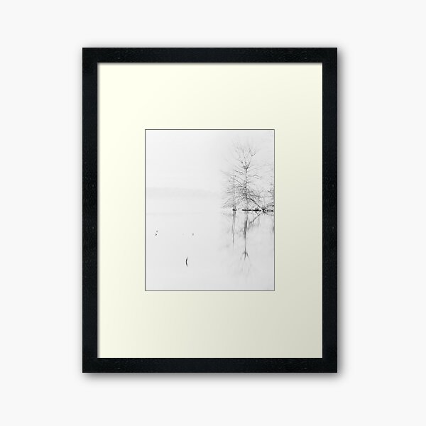 Item preview, résumé de l'arbre designed and sold by WebbPhotos78.