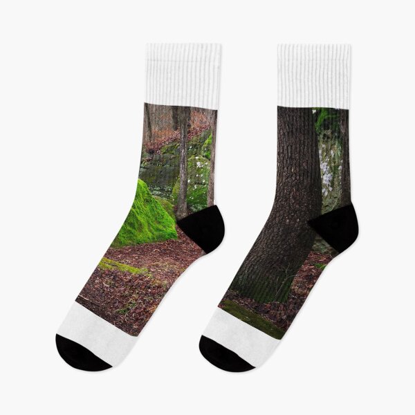 Item preview, woods designed and sold by WebbPhotos78.