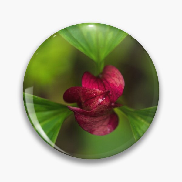 Item preview, Flower designed and sold by WebbPhotos78.