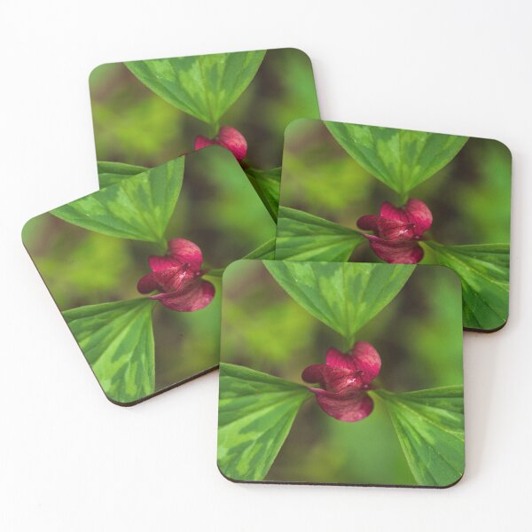 Item preview, Flor designed and sold by WebbPhotos78.