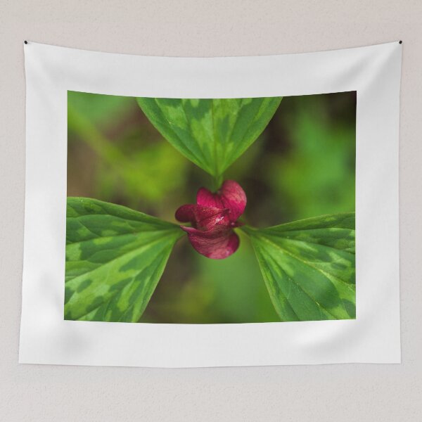 Item preview, Flower designed and sold by WebbPhotos78.