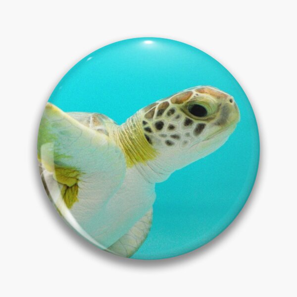 Item preview, Hawksbill Sea Turtle Swimming Peacefully designed and sold by Sadeshots.