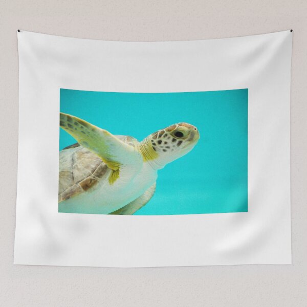 Item preview, Hawksbill Sea Turtle Swimming Peacefully designed and sold by Sadeshots.