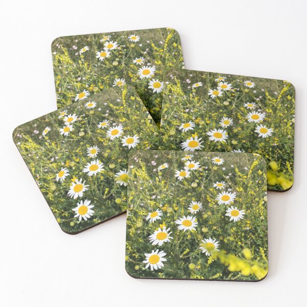 Item preview, Wild Daisy Flowers White Yellow Daisies designed and sold by HppyStrngHelthy.