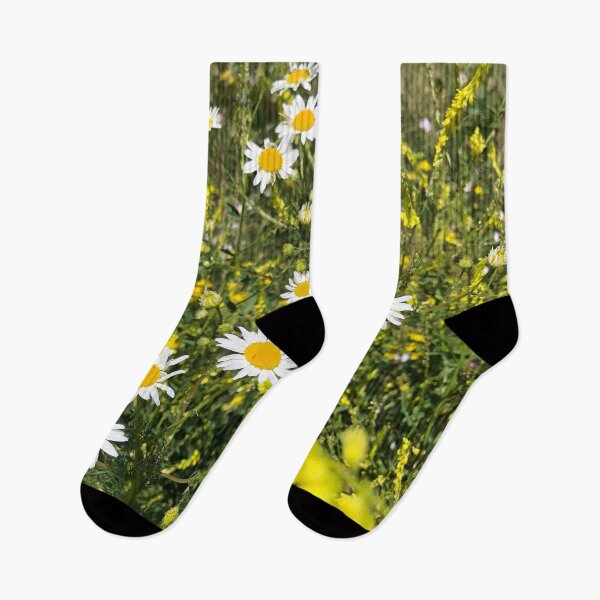 Item preview, Wild Daisy Flowers White Yellow Daisies designed and sold by HppyStrngHelthy.