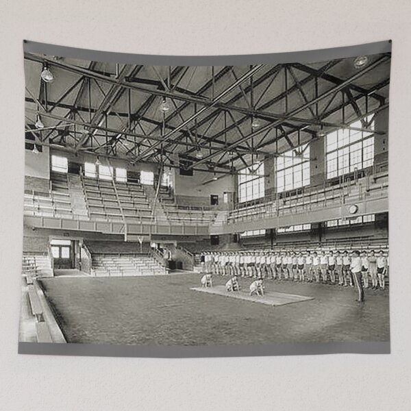 Item preview, Little Palestra, Allentown High School 1931, Gymnasium, Gym class, Canaries, Allentown PA,  designed and sold by Nostrathomas66.