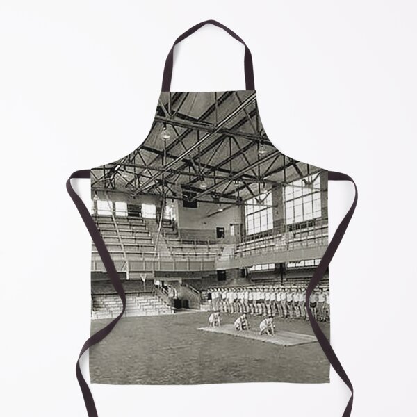 Item preview, Little Palestra, Allentown High School 1931, Gymnasium, Gym class, Canaries, Allentown PA, designed and sold by Nostrathomas66.