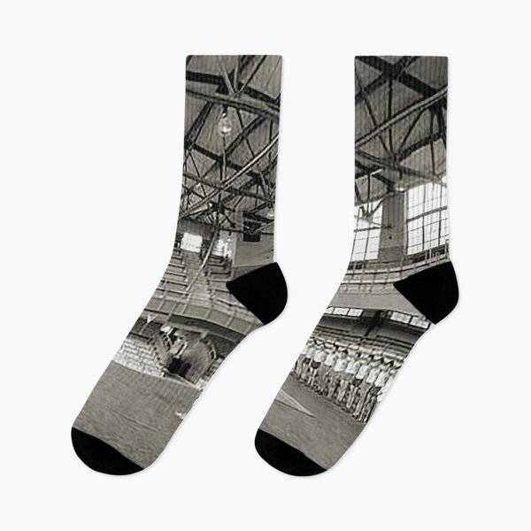 Item preview, Little Palestra, Allentown High School 1931, Gymnasium, Gym class, Canaries, Allentown PA,  designed and sold by Nostrathomas66.
