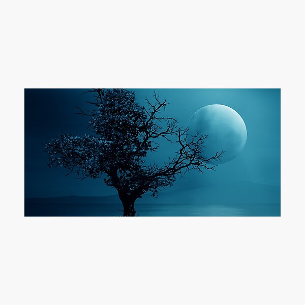 Item preview, Panoramic,widescreen prints,canvas,posters,canvas prints,metal, Tapestries,Tapestry,throw blankets,comforters,duvet covers ,shower curtains, Moon art,Moonlight,moon art,moon prints designed and sold by eyesight4vision.