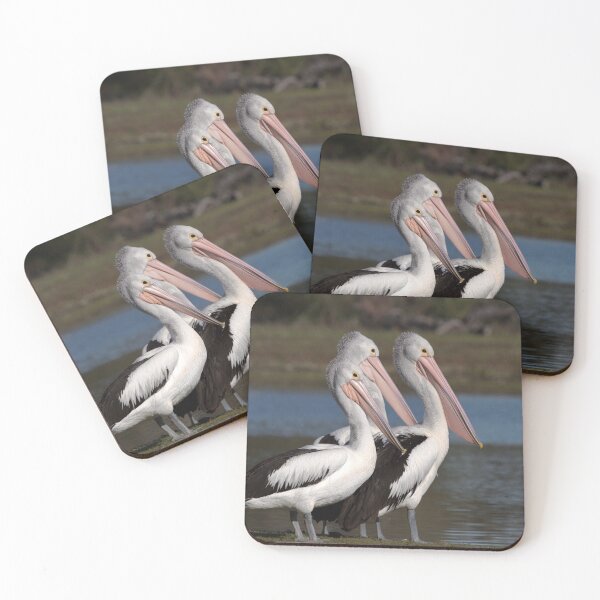 Item preview, Pelican trio  designed and sold by MargsNaturePix.
