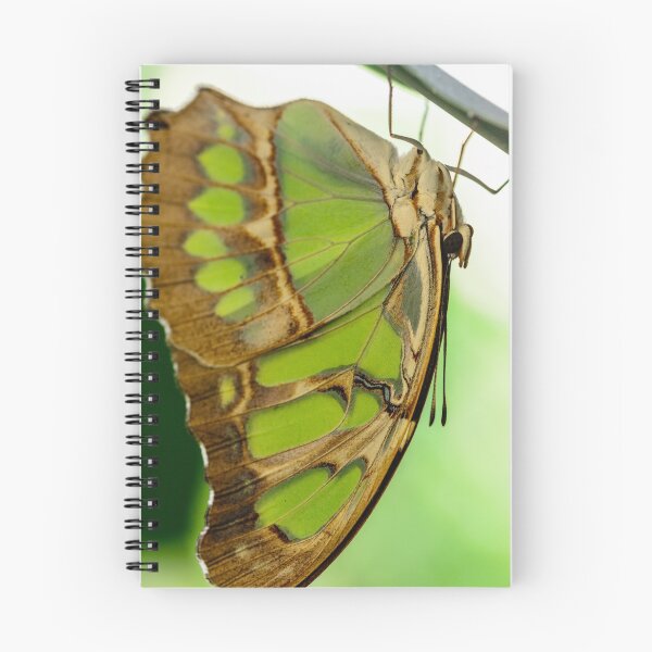 Item preview, Makro designed and sold by Tim Lee.