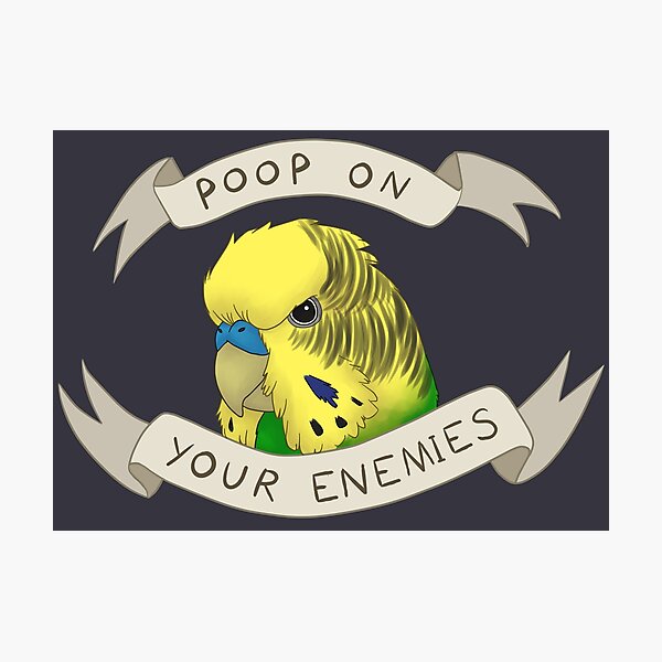Poop on your Enemies Photographic Print