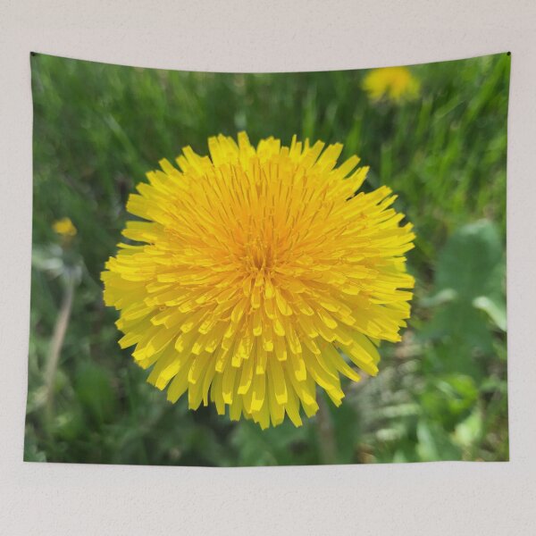Item preview, Wild Dandelion Yellow Flower by the Highway designed and sold by HppyStrngHelthy.