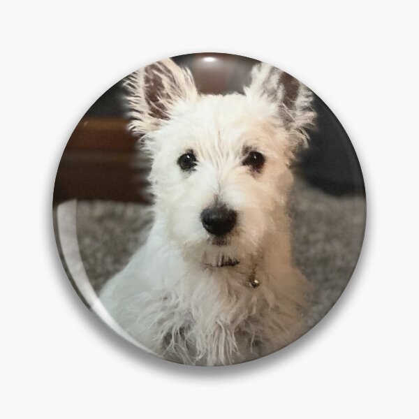 Item preview, This is a photograph of a Westie Puppy named Sophie designed and sold by NatureNoggin.