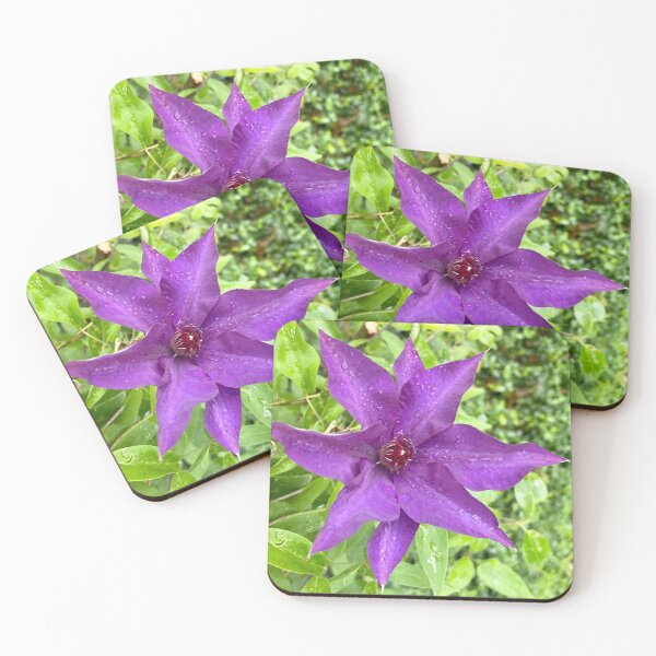 Item preview, Clematis designed and sold by NatureNoggin.