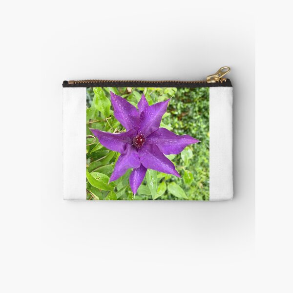 Item preview, Clematis designed and sold by NatureNoggin.