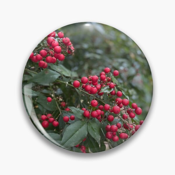 Item preview, Holly Berries  designed and sold by NatureNoggin.