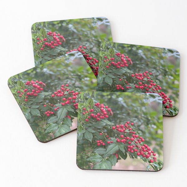 Item preview, Holly Berries  designed and sold by NatureNoggin.