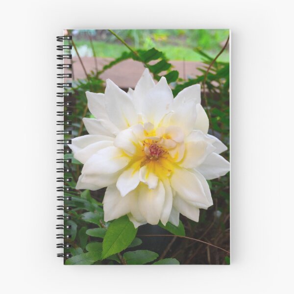 Item preview, English Rose designed and sold by kenzappell.