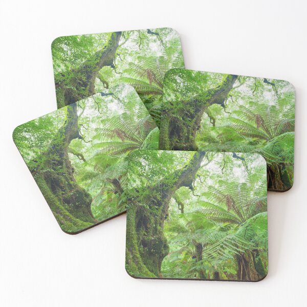 Item preview, Myrtle Beech Tree, Tarra Bulga National Park, Victoria, Australia designed and sold by Michael Boniwell.