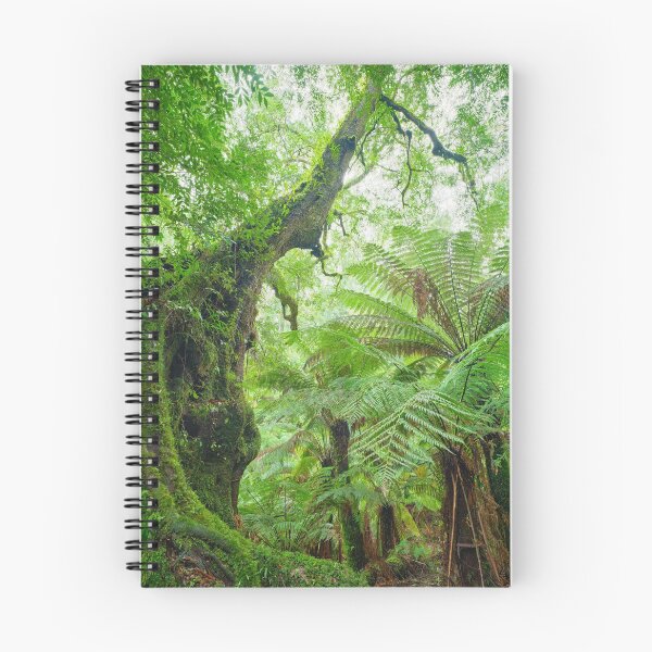 Item preview, Myrtle Beech Tree, Tarra Bulga National Park, Victoria, Australia designed and sold by Michael Boniwell.
