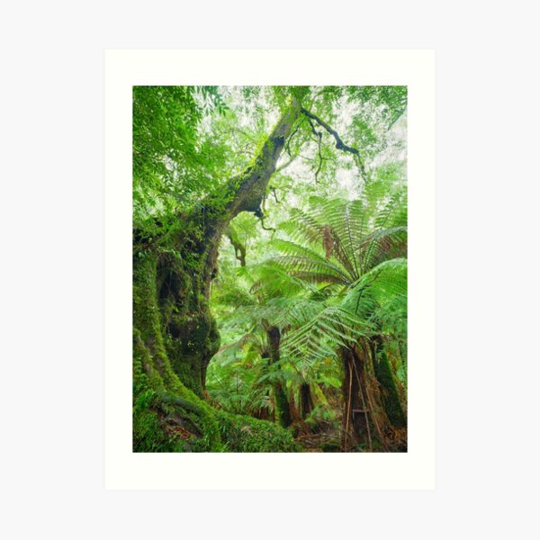 Art Print