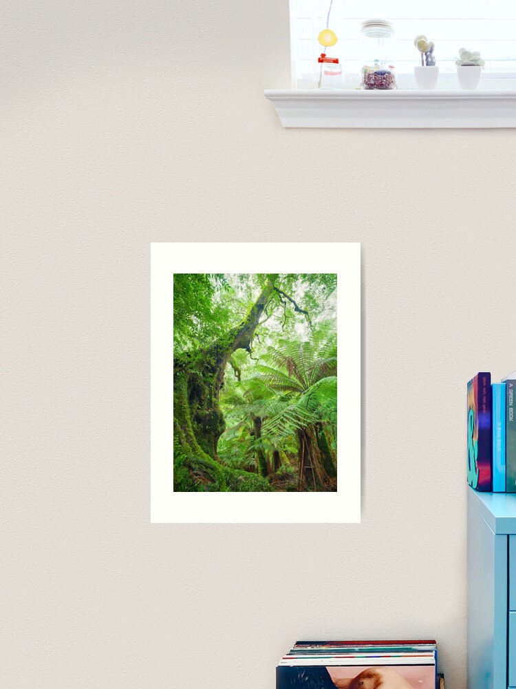 Thumbnail 2 of 3, Art Print, Myrtle Beech Tree, Tarra Bulga National Park, Victoria, Australia designed and sold by Chockstone.