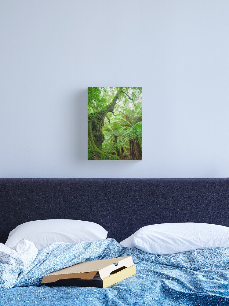 Thumbnail 2 of 3, Canvas Print, Myrtle Beech Tree, Tarra Bulga National Park, Victoria, Australia designed and sold by Chockstone.