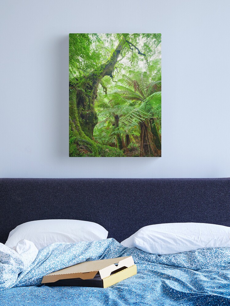 Thumbnail 2 of 3, Canvas Print, Myrtle Beech Tree, Tarra Bulga National Park, Victoria, Australia designed and sold by Chockstone.