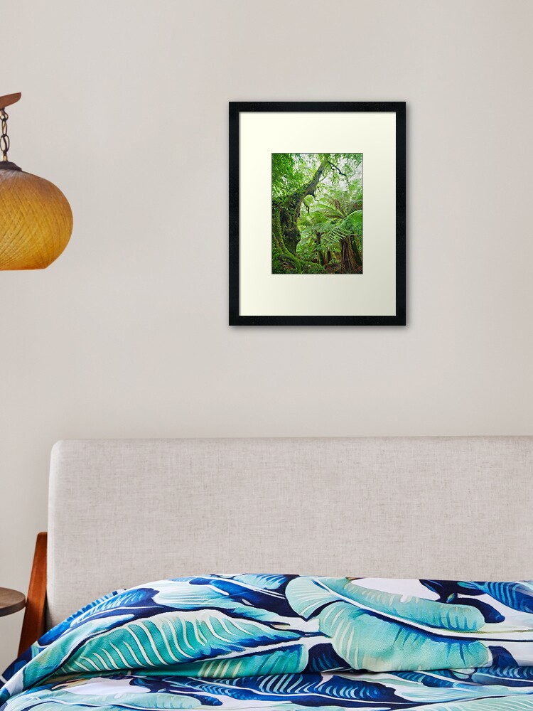Thumbnail 2 of 7, Framed Art Print, Myrtle Beech Tree, Tarra Bulga National Park, Victoria, Australia designed and sold by Chockstone.