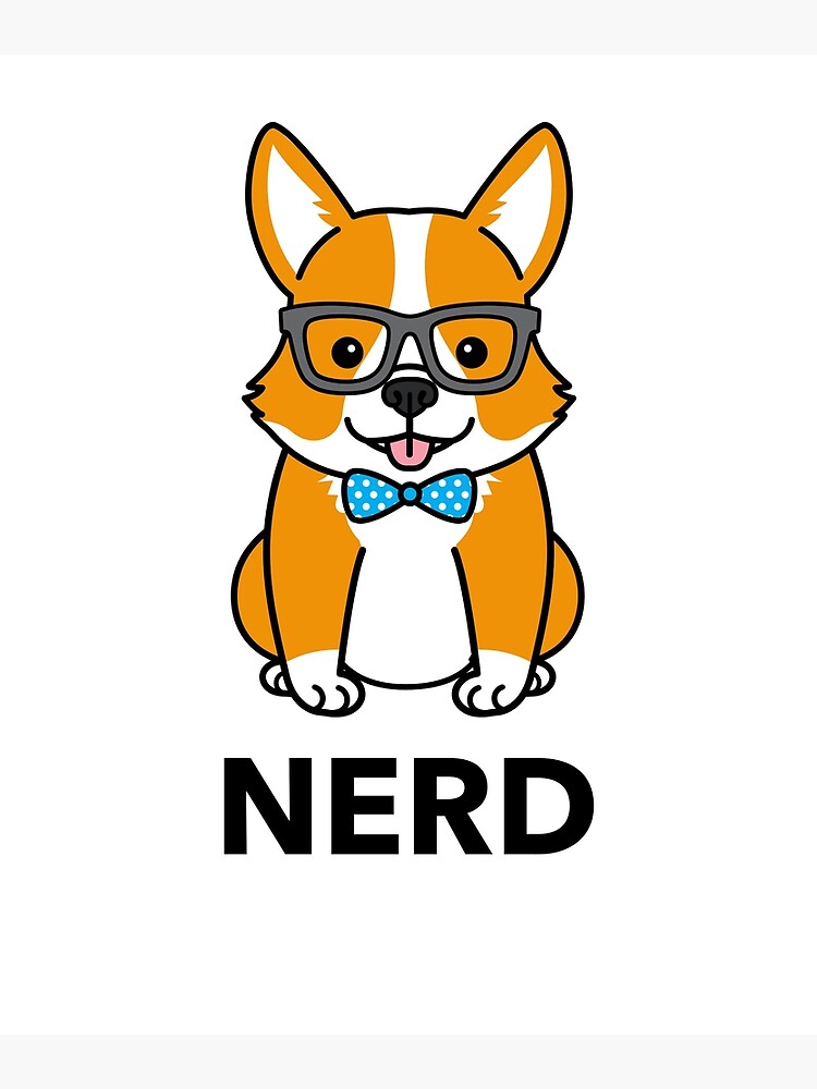 NERD corgi dog in glasses and bowtie