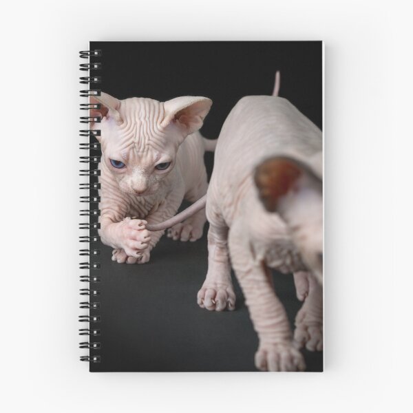 Item preview, black sphynx cat designed and sold by joshua pierre.