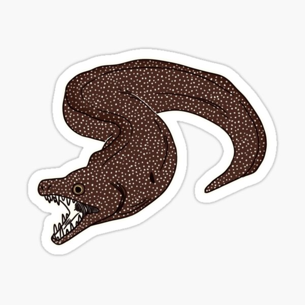 Whitemouth Moray Sticker