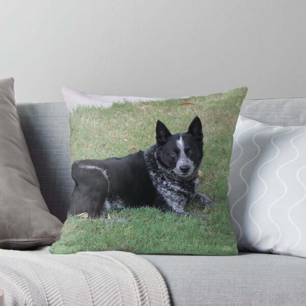 Item preview, Bandit designed and sold by Vivian Sturdivant.