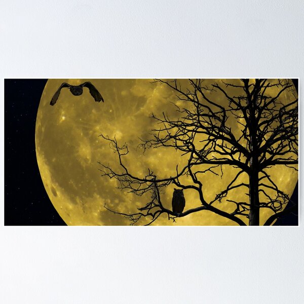 Item preview, Panoramic,widescreen prints,canvas,posters,canvas prints,metal, Tapestries,Tapestry,throw blankets,comforters,duvet covers ,shower curtains, Moon art,Moonlight,moon art,moon prints designed and sold by eyesight4vision.