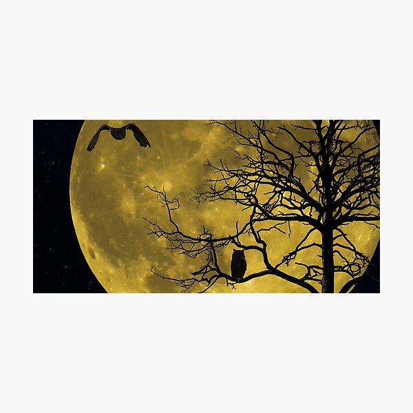 Item preview, Panoramic,widescreen prints,canvas,posters,canvas prints,metal, Tapestries,Tapestry,throw blankets,comforters,duvet covers ,shower curtains, Moon art,Moonlight,moon art,moon prints designed and sold by eyesight4vision.