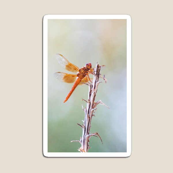 Item preview, Flame Skimmer on Agave designed and sold by Ruth Jolly.