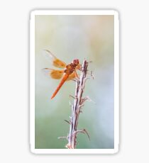 Flammenabschäumer auf Agave Sticker
