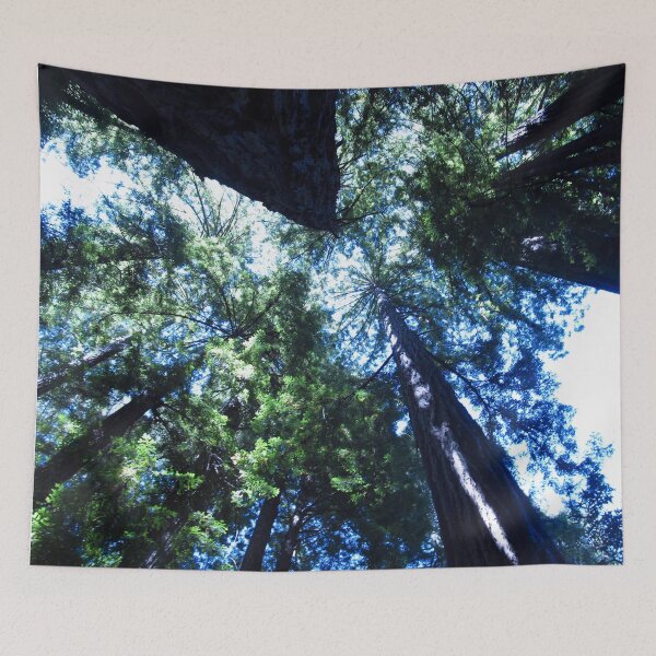 Item preview, Redwoods from Below designed and sold by Sam Gallagher.