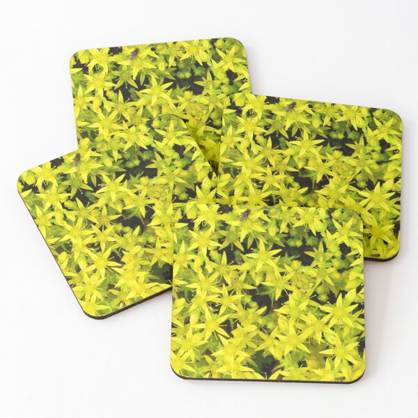 Item preview, Sedum designed and sold by wiggyofipswich.