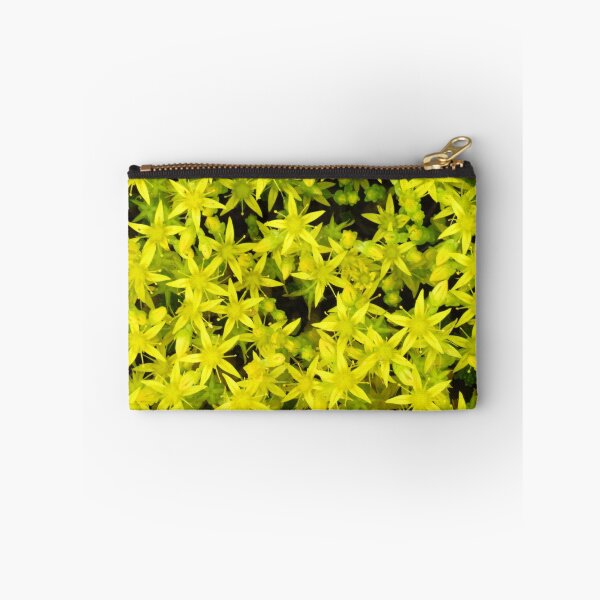 Item preview, Sedum designed and sold by wiggyofipswich.