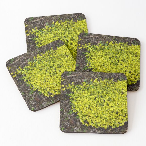 Item preview, Sedum and Lichen designed and sold by wiggyofipswich.