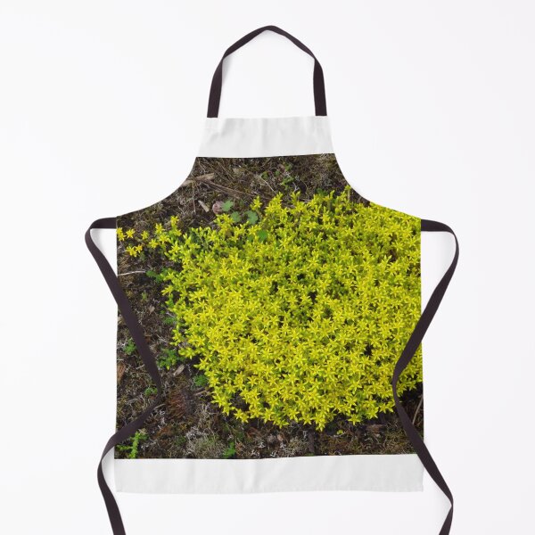 Item preview, Sedum and Lichen designed and sold by wiggyofipswich.