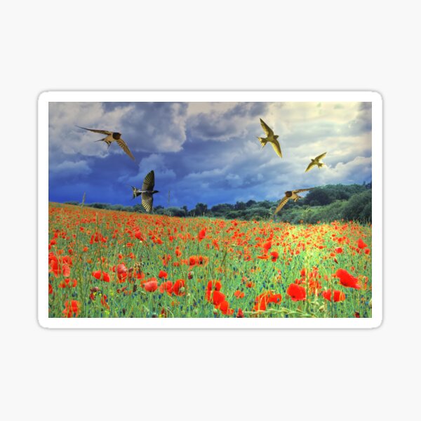 Aperçu de l'œuvre Hirondelles et coquelicots créée et vendue par Alisonchambers2.