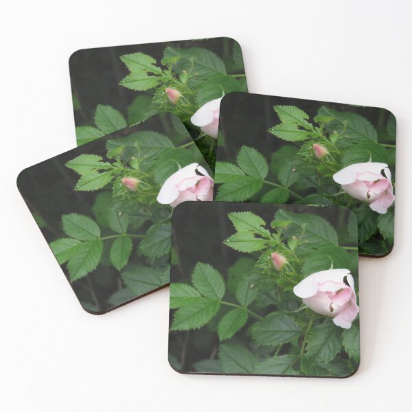 Item preview, Dog Rose Bud designed and sold by wiggyofipswich.